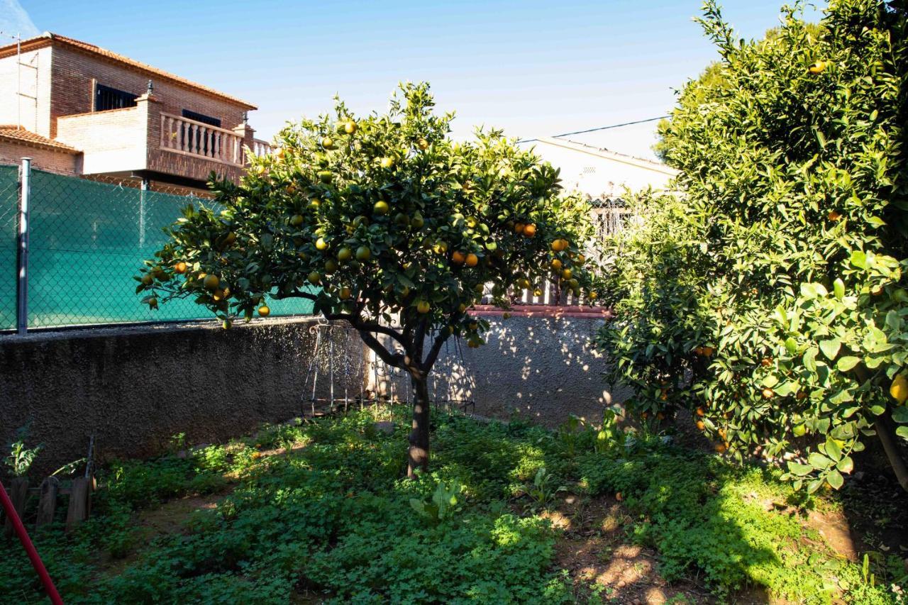 Villa Florit Flats - The Orange Lemon Tree House L'Eliana Exterior foto